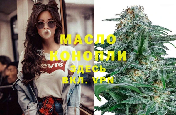 spice Бородино