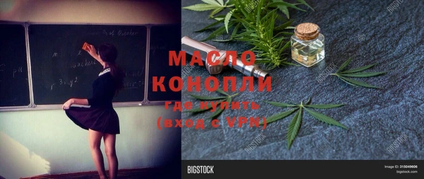 spice Бородино