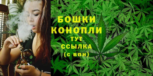 spice Бородино