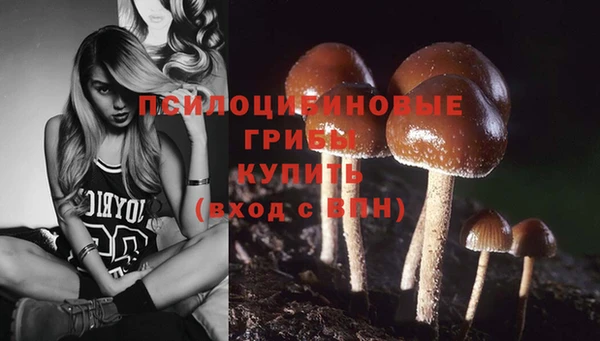 spice Бородино